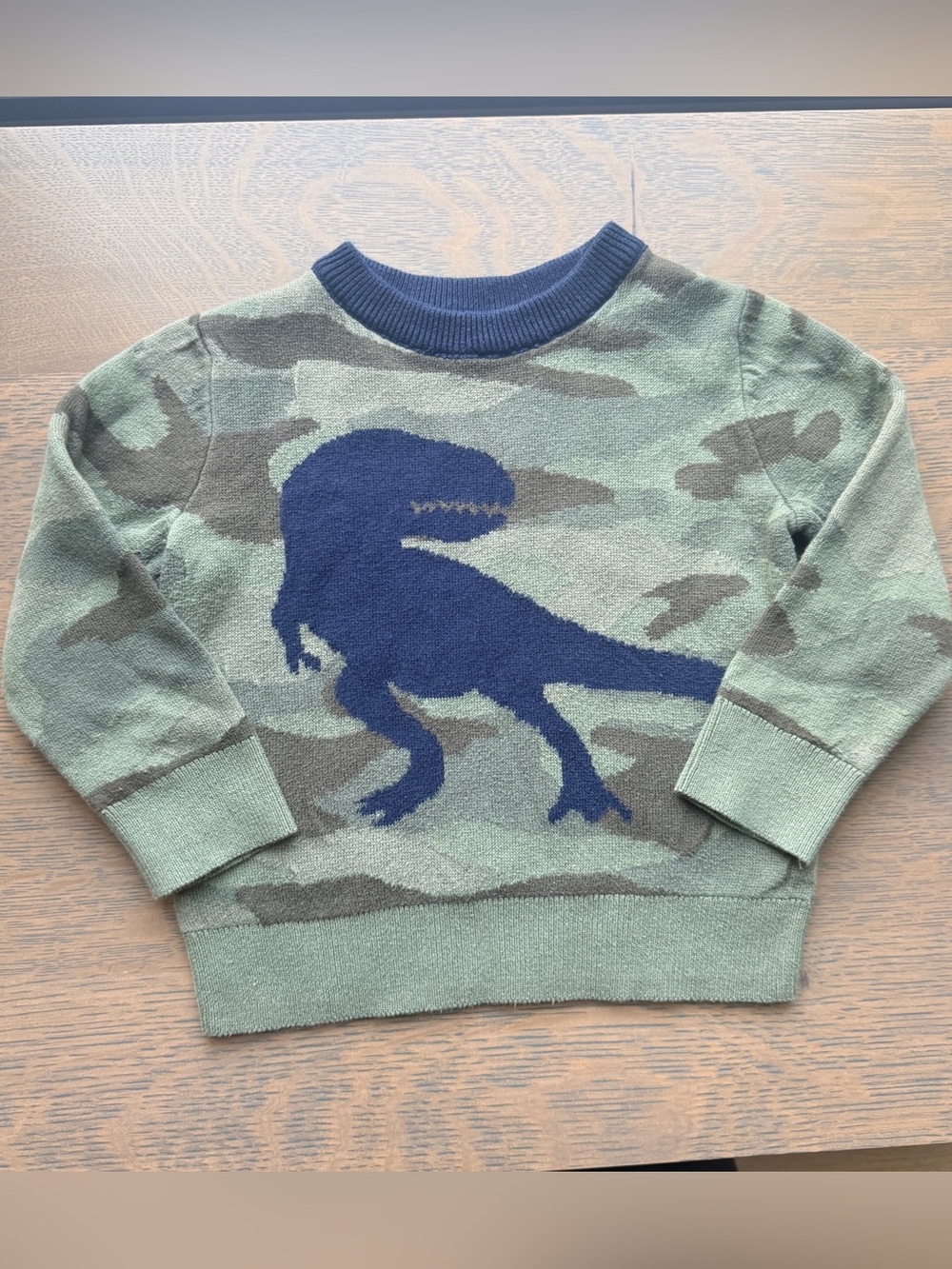 Gap Kids Dinosaur Camo Crewneck Sweater - Green - Size 2T